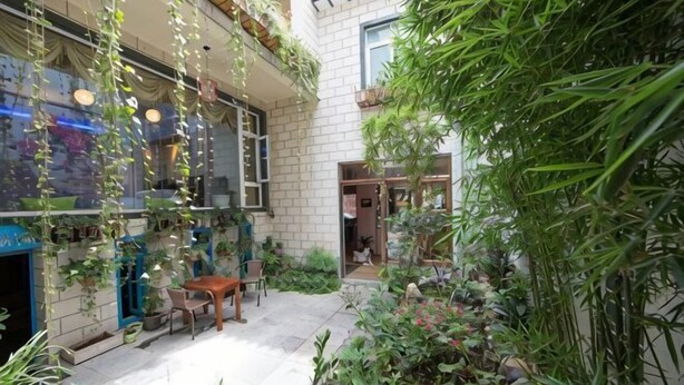 Un patio con plantas colgantes, una mesa de madera y sillas.