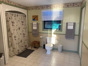 Hair dryer, towels, soap