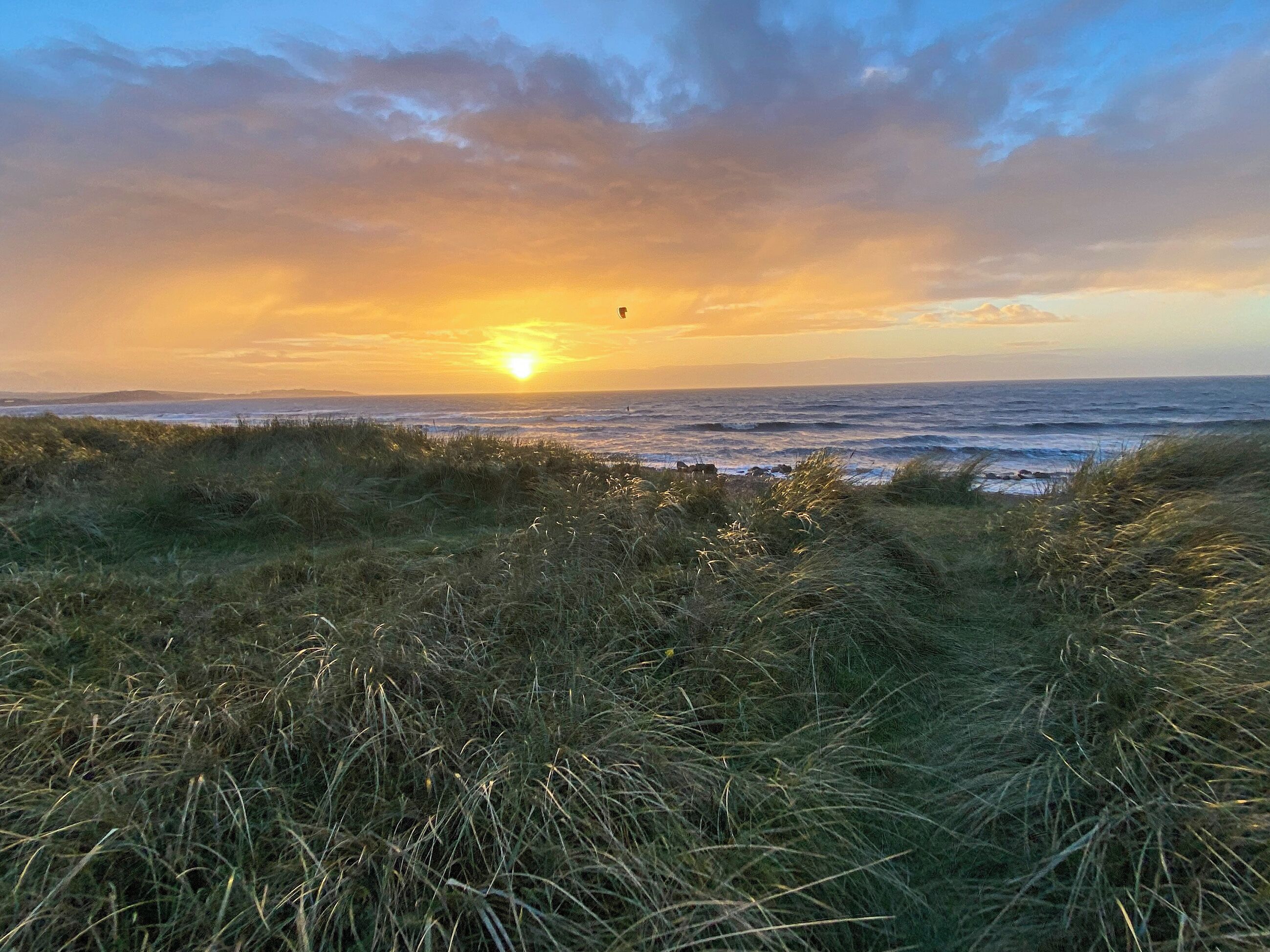 Eine Küstenlandschaft mit Gras im Vordergrund und einem Sonnenuntergang über dem Meer.