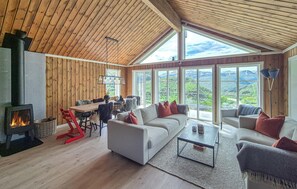 Smart-TV, Kamin