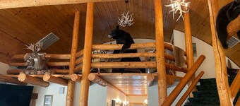 Wild Rivers Whitetails Lodge