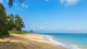 A beach with palm trees and clear blue skies.
