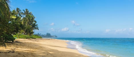 On the beach, sun-loungers, beach towels