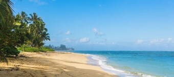 Beach Oasis: Beach front North shore cozy resort with spa and private garden