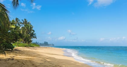 Beach Oasis: Beach front North shore cozy resort with spa and private garden