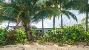 A sandy beach with palm trees and dense greenery.