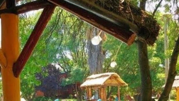 Ein Baum mit einem Nest in den Ästen, einer Holzkonstruktion und einem Schwimmbad im Hintergrund.