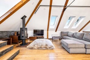 Télévision, cheminée, espaces bureaux