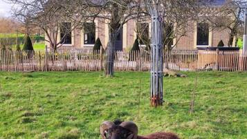 Terrein van de accommodatie