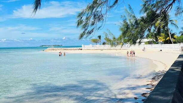 A beach with clear water, palm trees, and a sandy shore.