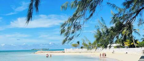Chaises longues, serviettes de plage