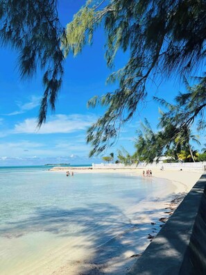 A beach with clear water, palm trees, and a sandy shore.