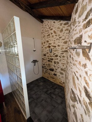 Shower, jetted tub, hair dryer, towels