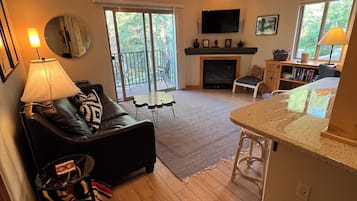 TV, fireplace, books