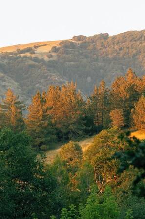 Overnatningsstedets område
