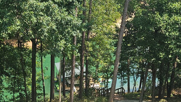 A park with a grassy area, trees, and a body of water.