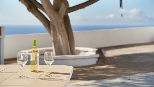 Ein Tisch mit einer Weinflasche und Gläsern, ein Baum und Blick auf das Meer.