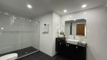 Room | Bathroom | Shower, towels, soap, toilet paper