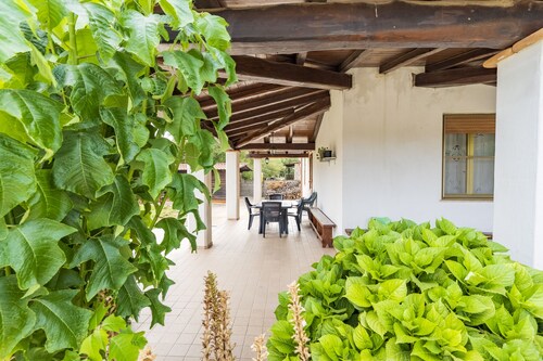 Ferienwohnung 'Appartamento Orto Degli Ulivi' mit privater Terrasse, privatem Garten und Wi-Fi
