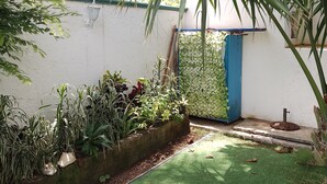 A garden area with various plants, a small water feature, and a white wall.