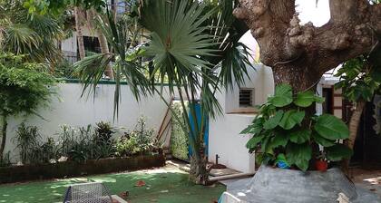 Casa, "Joy of the Sea"