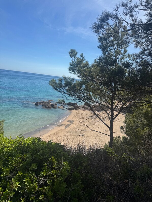 Playa en los alrededores 
