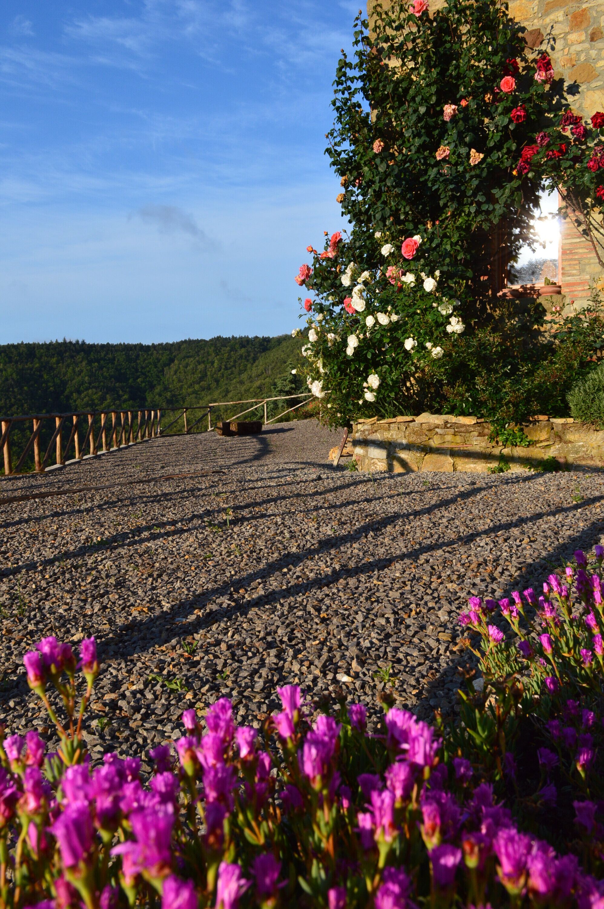 Parco della struttura