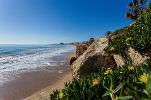 Ein Küstenstrand mit felsigen Klippen und viel Grün.