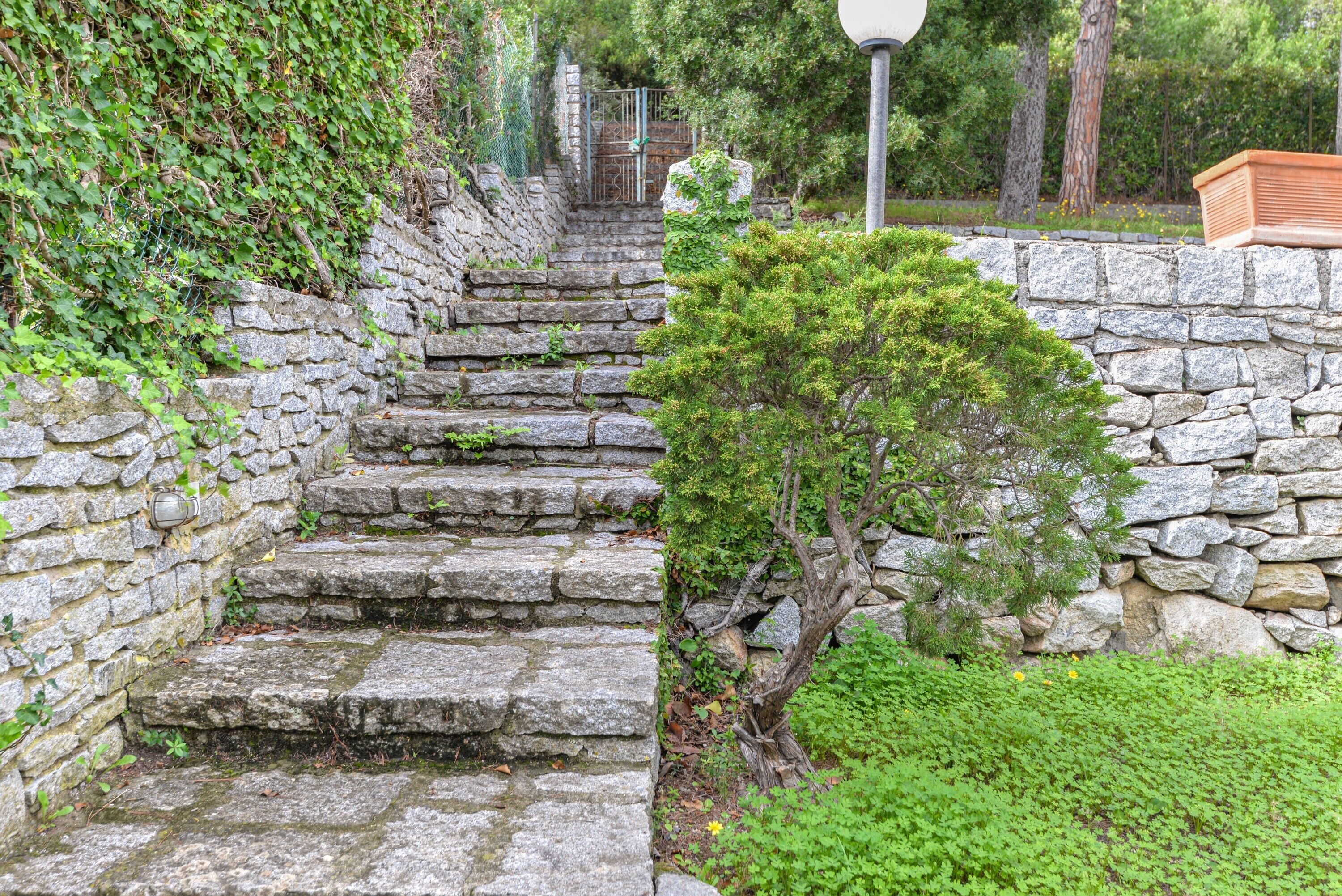 Parco della struttura