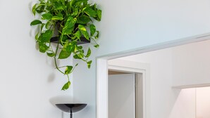 Une plante suspendue dans une pièce avec un mur blanc et une porte.