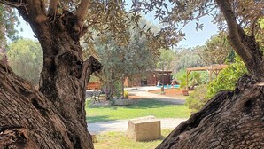 A park with a pool, picnic tables, and a gazebo.