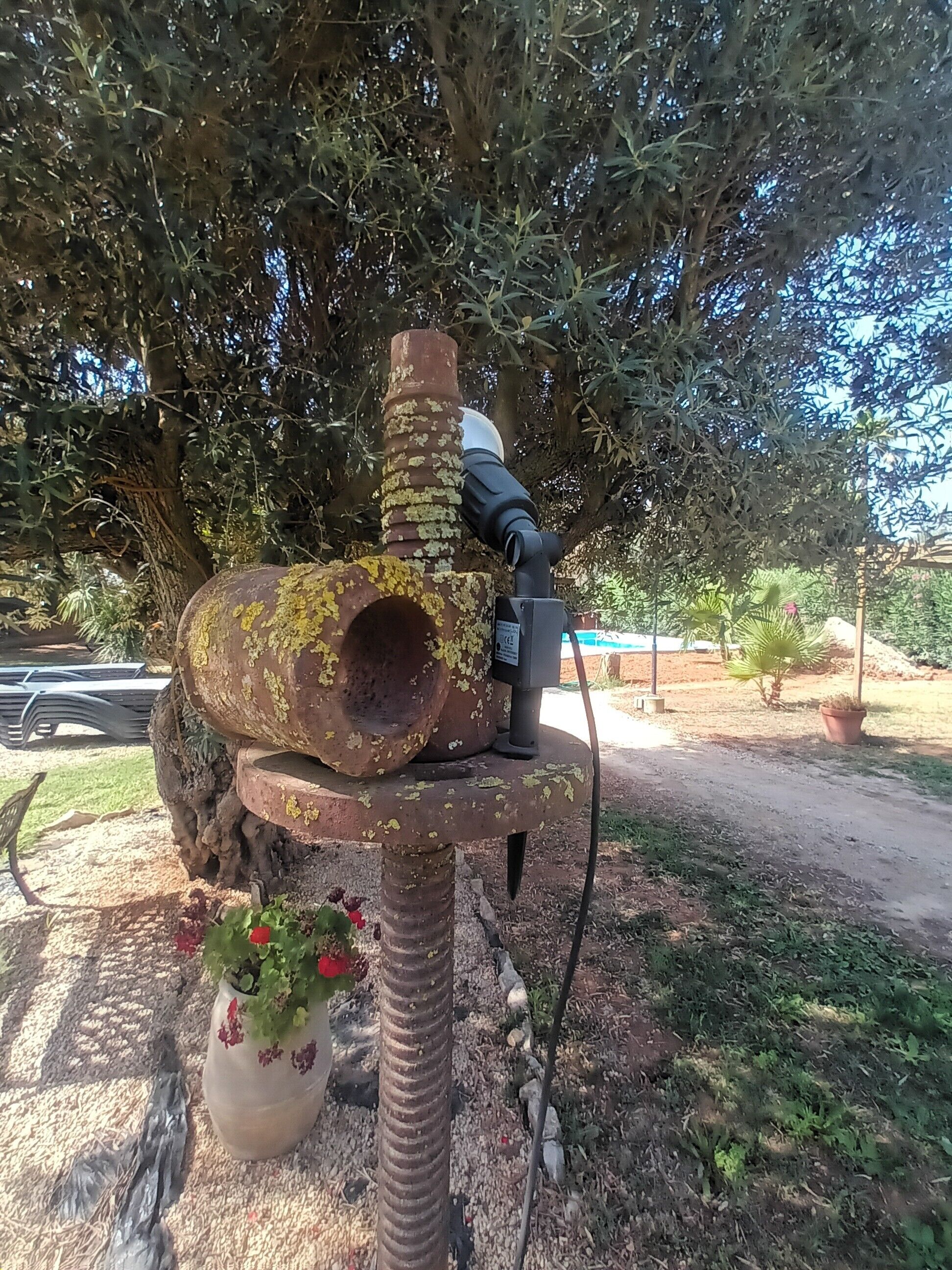 A rustic outdoor structure with a chimney, a hose, and a potted plant with red flowers.