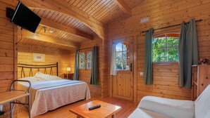 Una cabaña de madera con dos camas, un sofá, un televisor y una ventana con cortinas.