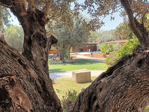 Property grounds - Null 'Entre Viejos Olivos 6' with Mountain View, Shared Pool and Air Conditioning (Benicolet)