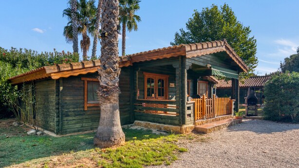 A rustic wooden cabin with a porch, surrounded by greenery and a gravel path.