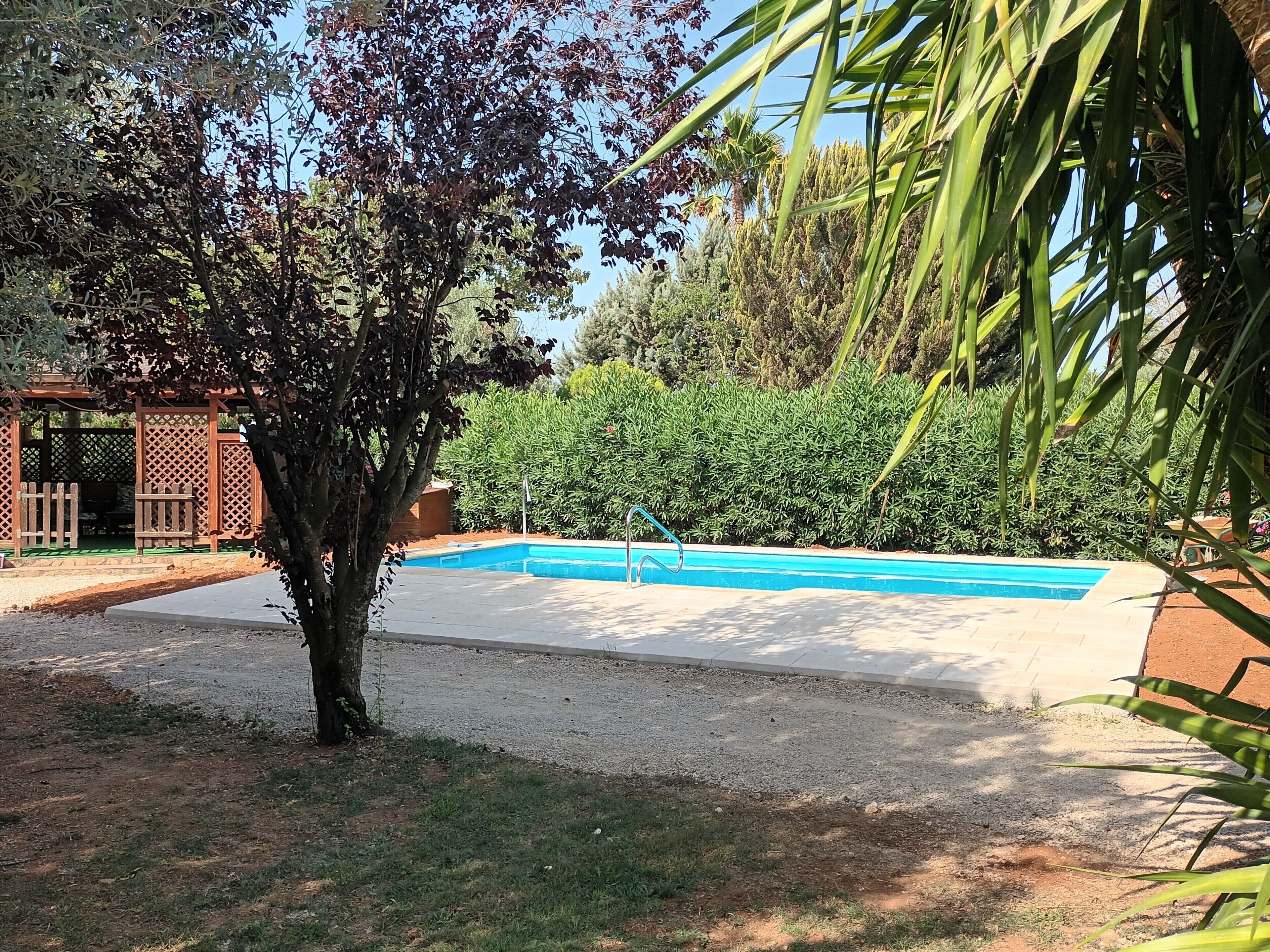 Une piscine entourée d’une terrasse en bois, d’un arbre et d’une haie.