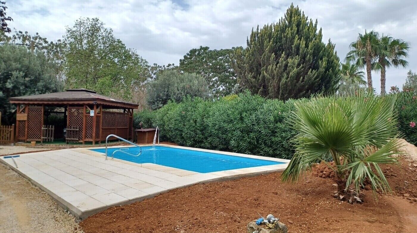 Une piscine dotée d’une terrasse en bois, entourée d’une végétation luxuriante et de palmiers.