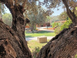 Property grounds - Null 'Entre Viejos Olivos 3' with Mountain View, Shared Pool and Air Conditioning (Benicolet)