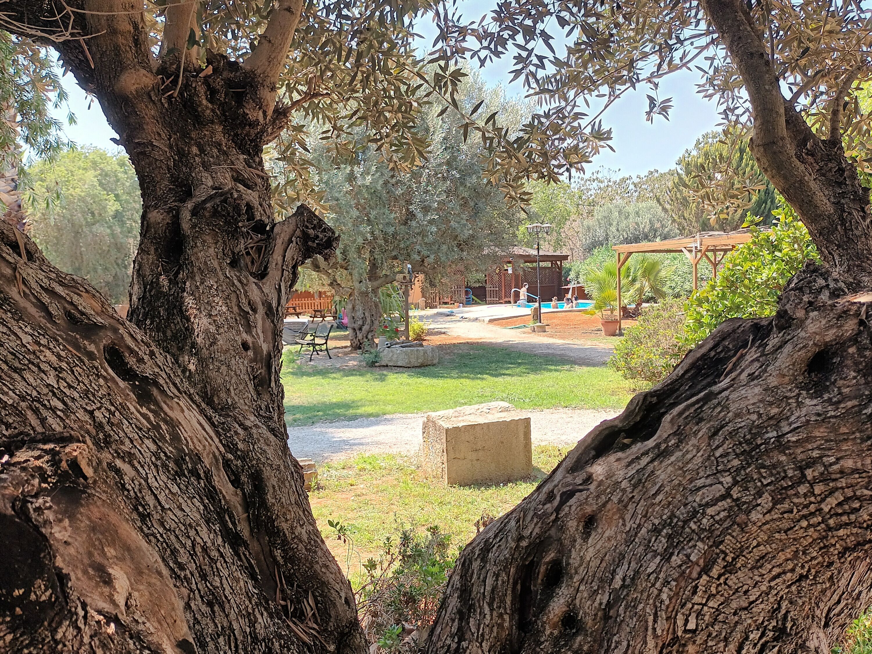 Enceinte de l’hébergement