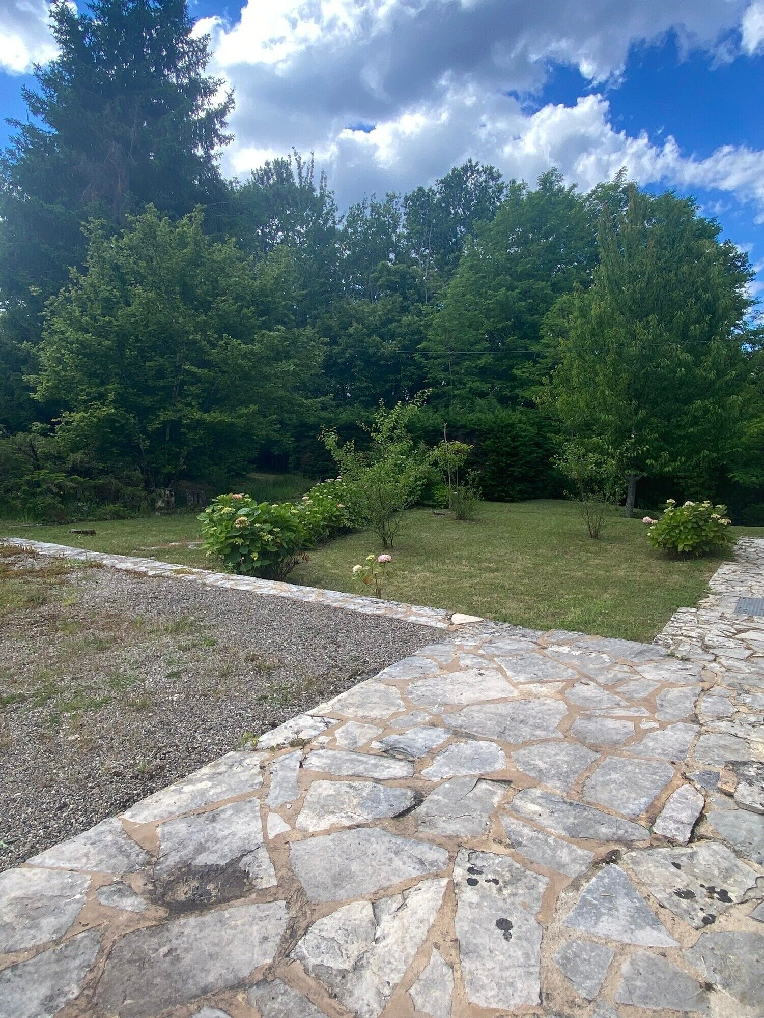 A stone pathway leading to a grassy area with trees and shrubs.