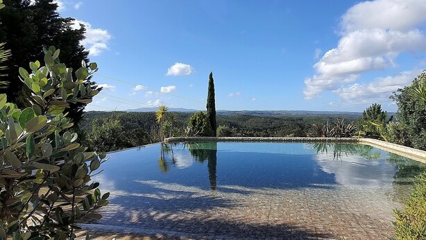 Un ciel d’un bleu éclatant, une piscine et une végétation luxuriante tout autour.