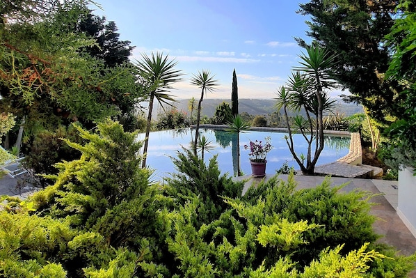 A pool surrounded by lush greenery and a clear view of the landscape.