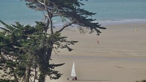 Ein Strand mit einem Segelboot, Bäumen und einer entfernten Person.