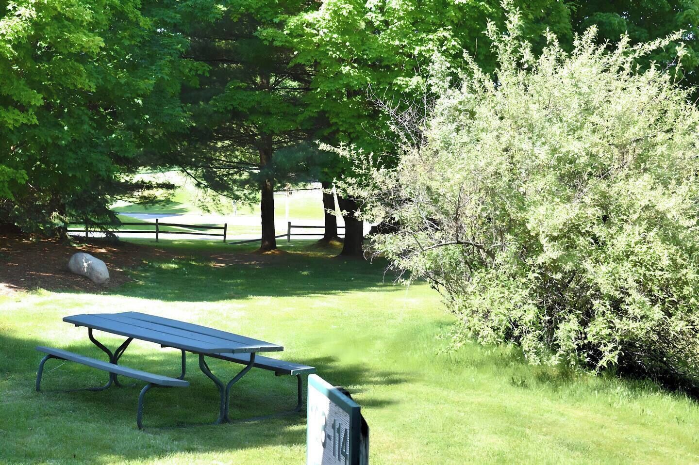 Un tavolo da picnic in un'area verdeggiante di un parco, con alberi e una recinzione sullo sfondo.