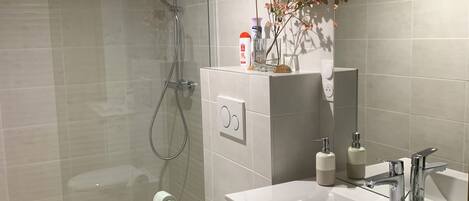 Hair dryer, towels, soap, toilet paper