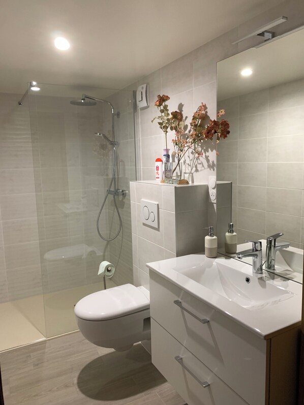 Hair dryer, towels, soap, toilet paper