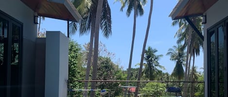 Alberca