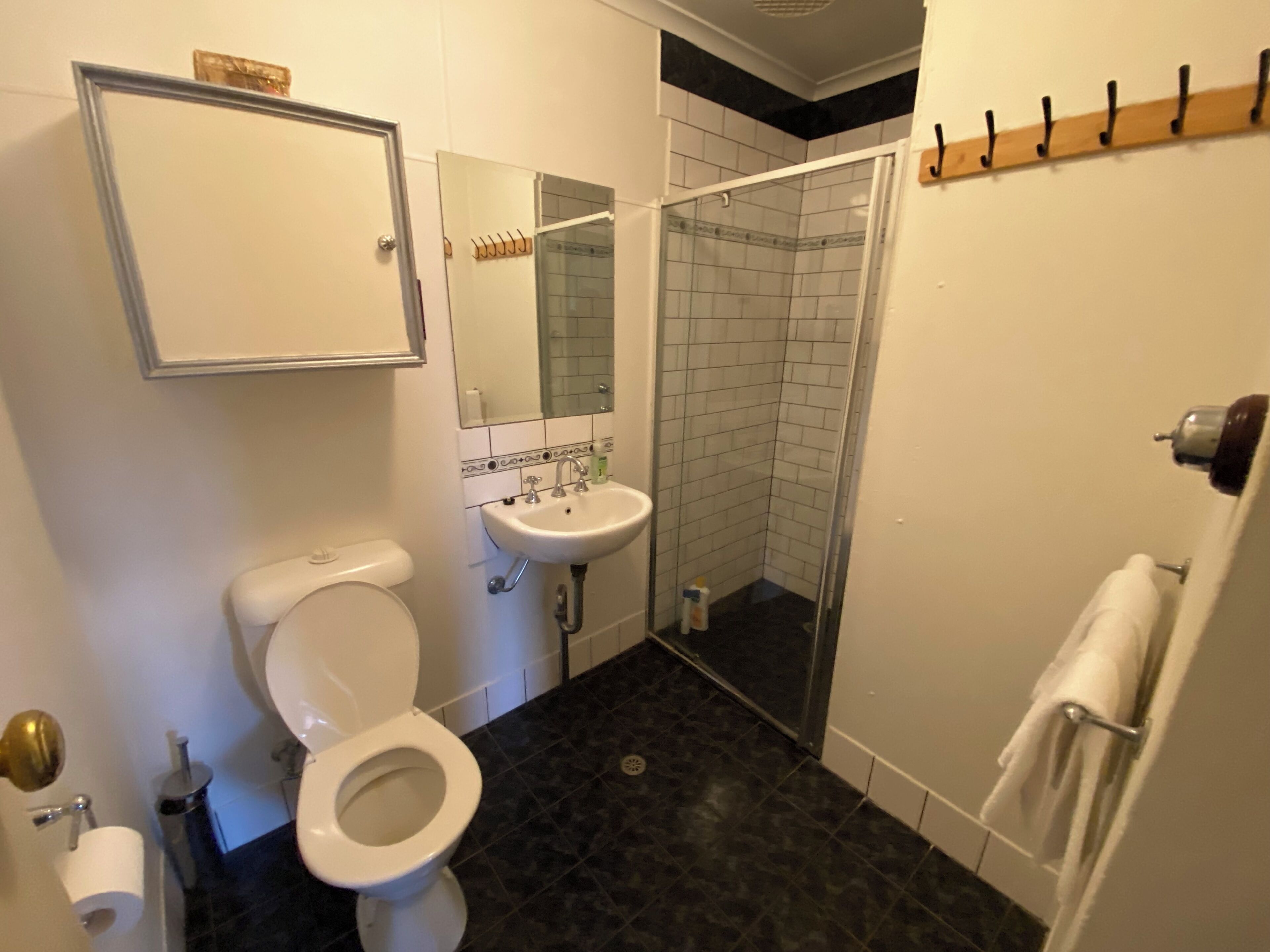 Une salle de bain avec des toilettes, un lavabo et une douche.