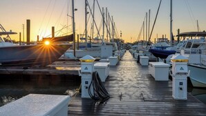 Un port de plaisance avec des bateaux amarrés et une passerelle en bois menant à l’eau.