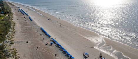A beach with a long row of blue umbrellas and beach chairs, a sandy shore, and the ocean.